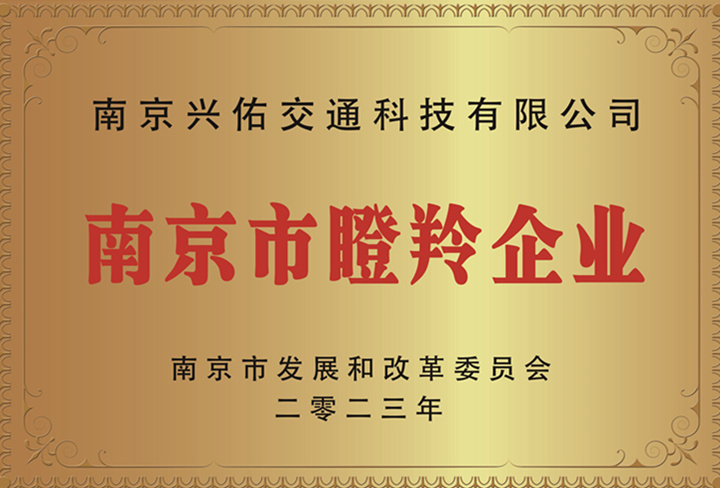 瞪羚企業(yè)